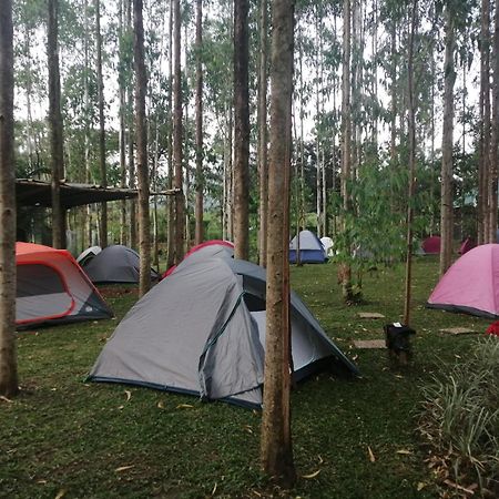 Murchison Backpackers Masindi المظهر الخارجي الصورة