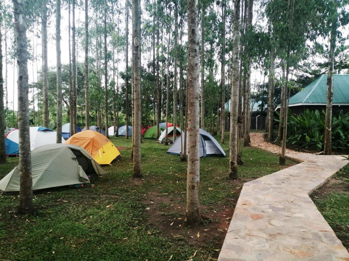 Murchison Backpackers Masindi المظهر الخارجي الصورة