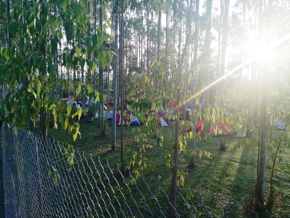 Murchison Backpackers Masindi المظهر الخارجي الصورة
