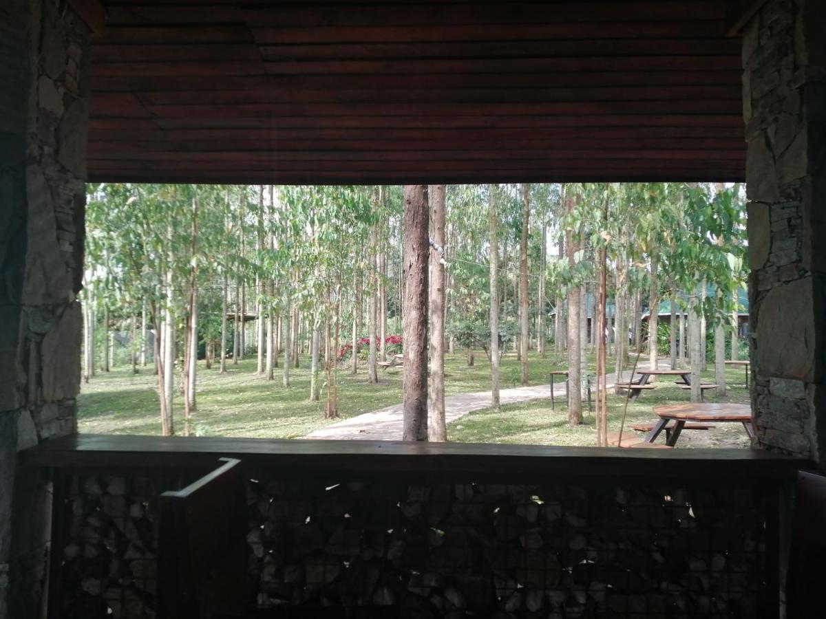 Murchison Backpackers Masindi المظهر الخارجي الصورة