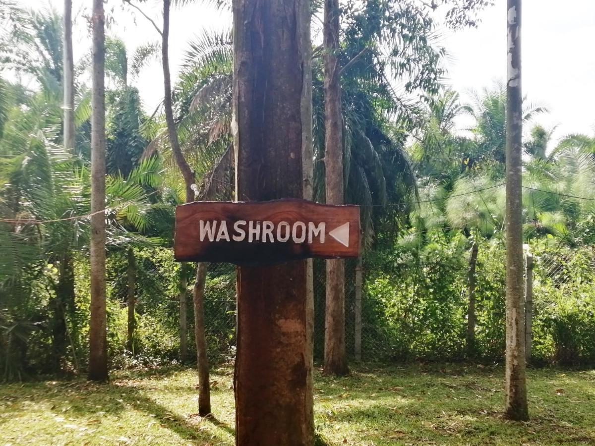 Murchison Backpackers Masindi المظهر الخارجي الصورة