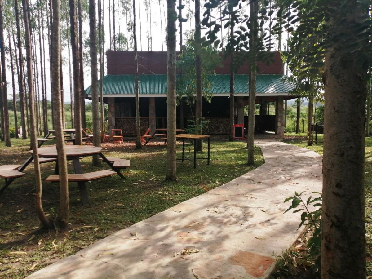 Murchison Backpackers Masindi المظهر الخارجي الصورة