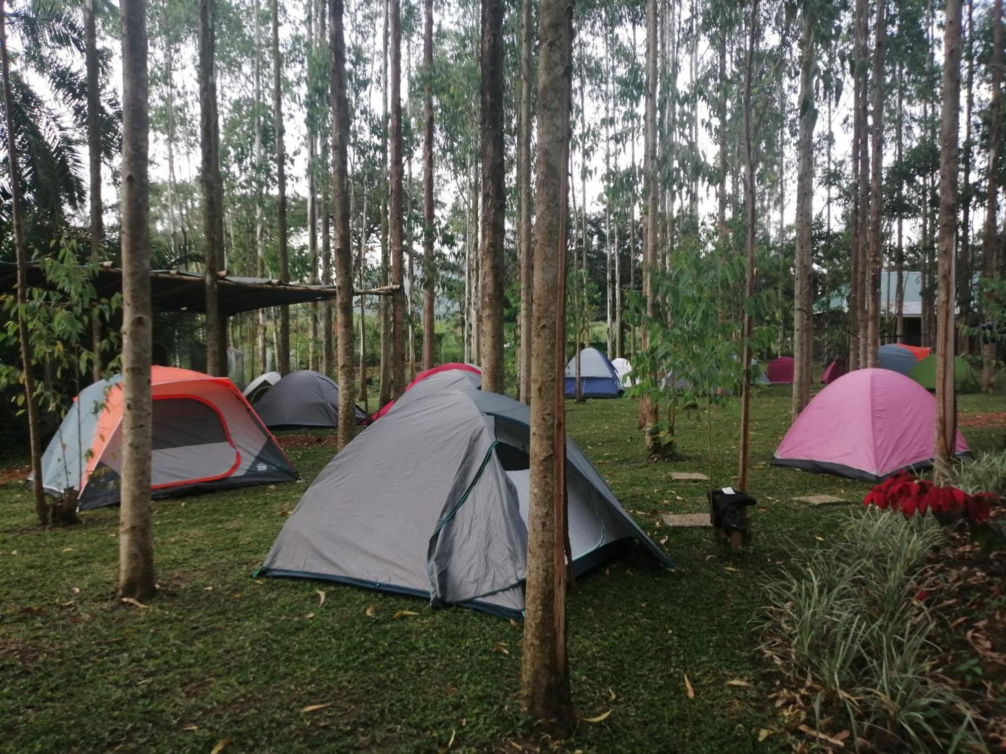 Murchison Backpackers Masindi المظهر الخارجي الصورة